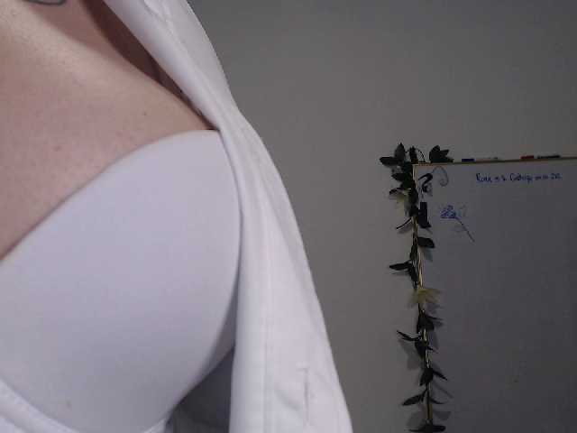 Transliacijos ekrano nuotraukos AdaIson