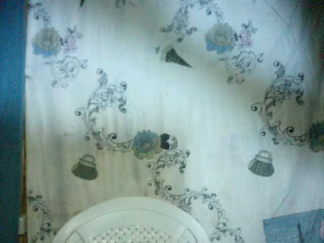 Transliacijos ekrano nuotraukos Alicia7