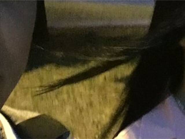 Transliacijos ekrano nuotraukos Alinamax2