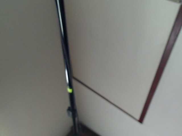 Transliacijos ekrano nuotraukos alissonsweeth