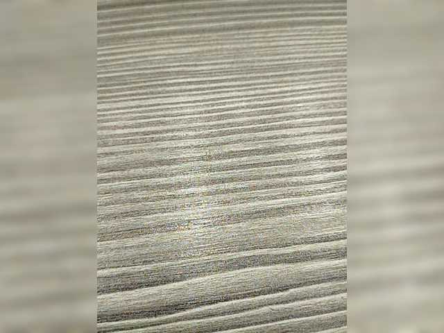 Transliacijos ekrano nuotraukos alysya111222