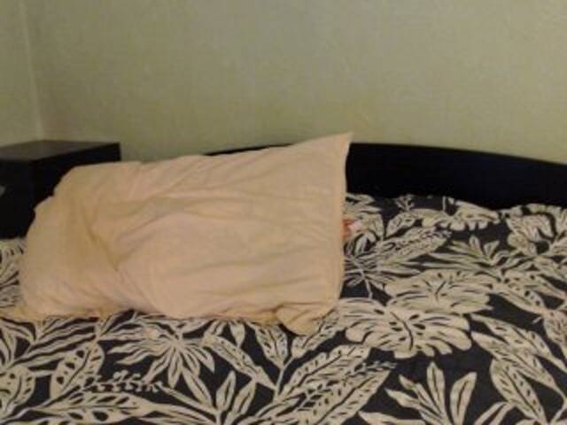 Transliacijos ekrano nuotraukos Alissia_Kiss