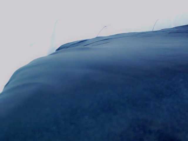 Transliacijos ekrano nuotraukos AmyRoberts2