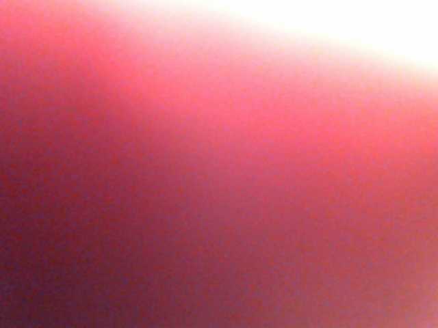 Transliacijos ekrano nuotraukos anawild4you