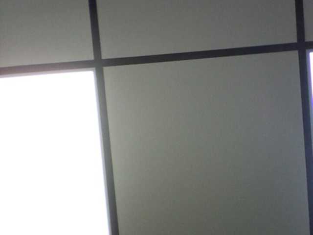 Transliacijos ekrano nuotraukos Ann9468