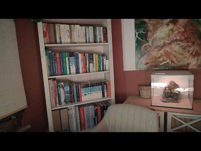 Transliacijos ekrano nuotraukos AntoniaPur