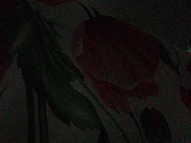 Transliacijos ekrano nuotraukos Rosalia_____