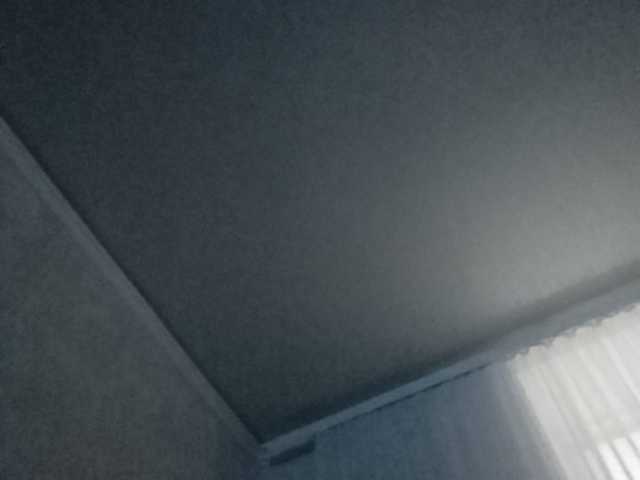 Transliacijos ekrano nuotraukos b1ToorBoPussy