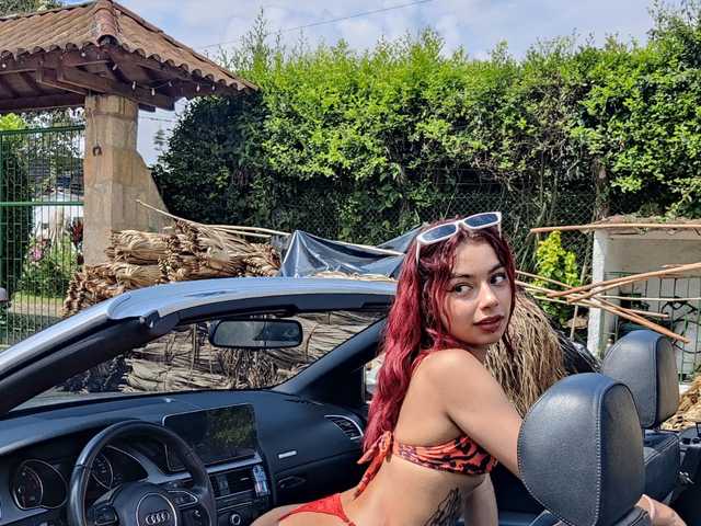 Profilio nuotrauka badgaldann1