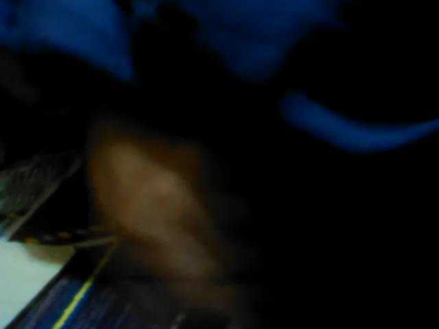 Transliacijos ekrano nuotraukos BarbieBigTits