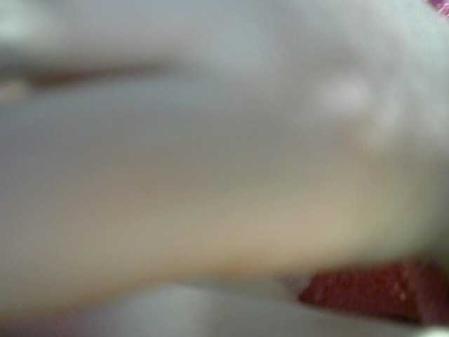 Transliacijos ekrano nuotraukos t_w_i_n_k_l_e