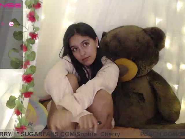 Transliacijos ekrano nuotraukos soficute