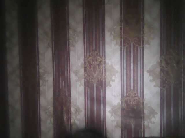 Transliacijos ekrano nuotraukos -jasmine-