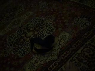 Erotinis vaizdo pokalbis Chemezoff