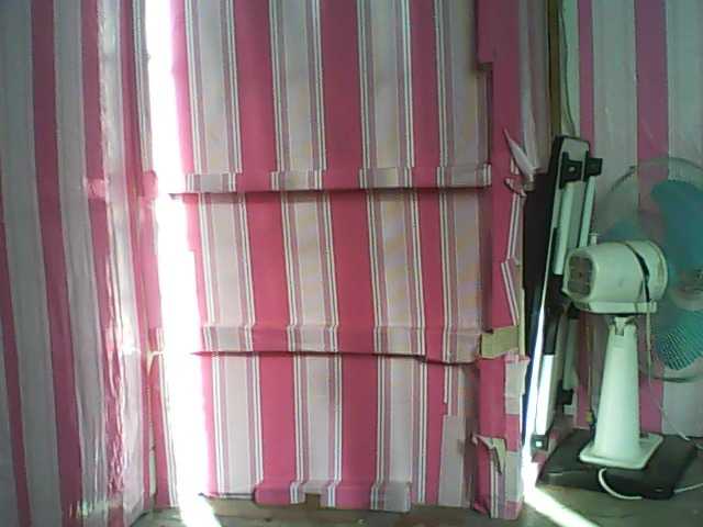 Transliacijos ekrano nuotraukos cherryblossom