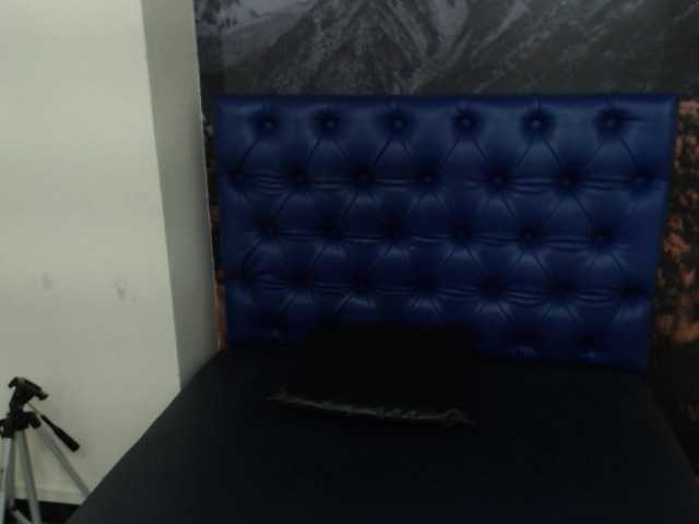 Transliacijos ekrano nuotraukos cleoW