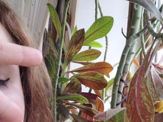 Erotinis vaizdo pokalbis Crazycouple8