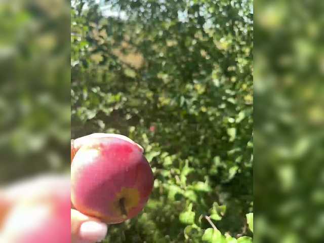 Transliacijos ekrano nuotraukos SSaibaliii