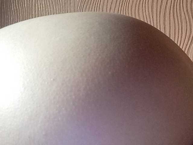 Transliacijos ekrano nuotraukos Darinaray777