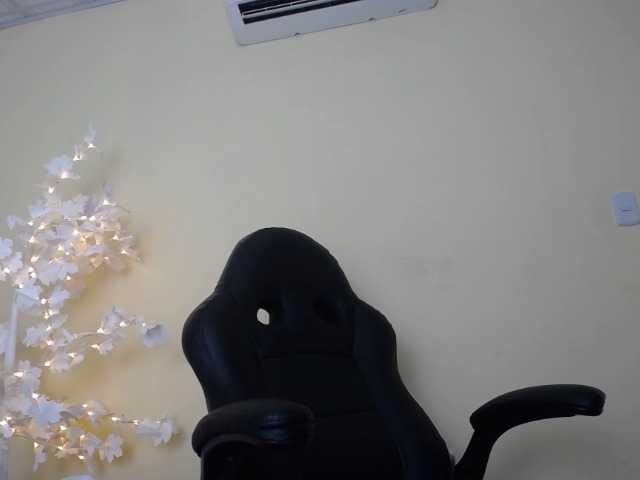 Transliacijos ekrano nuotraukos DEVANY-REY