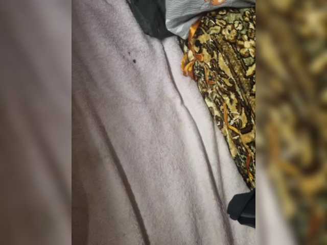 Transliacijos ekrano nuotraukos DiiRolla
