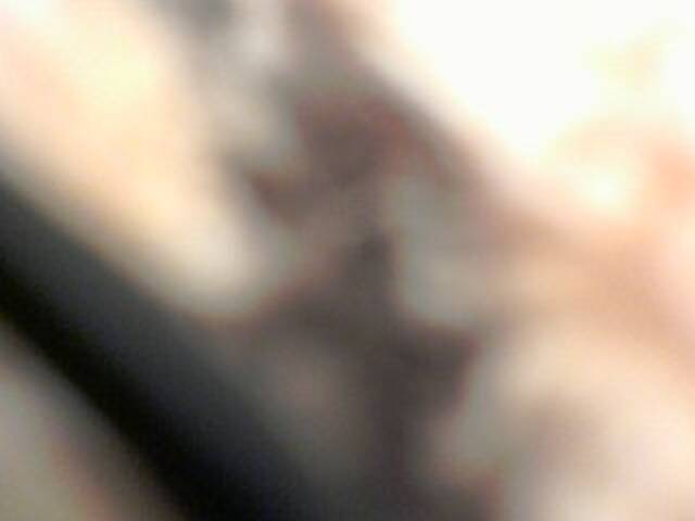 Transliacijos ekrano nuotraukos DIMIYRIA