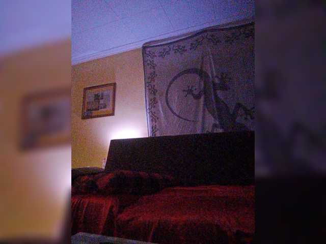 Transliacijos ekrano nuotraukos Doggysx