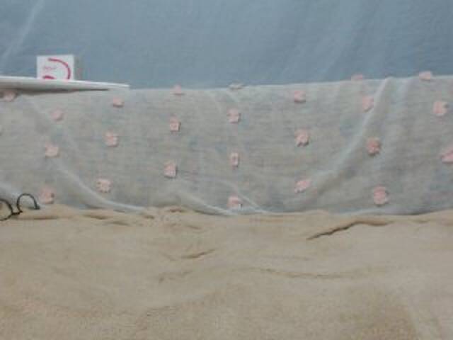 Transliacijos ekrano nuotraukos DonnaWildJoyy