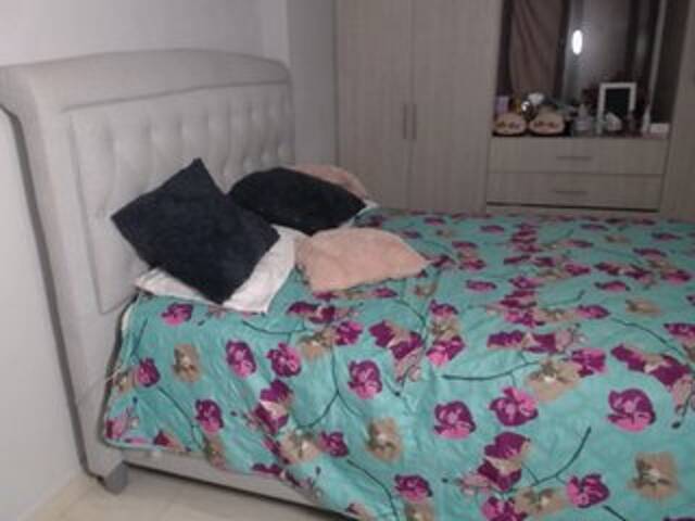 Transliacijos ekrano nuotraukos eimycox