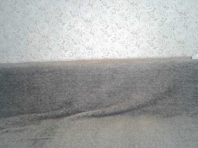 Transliacijos ekrano nuotraukos ElegantBlonda