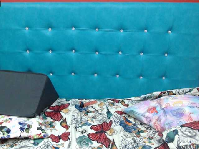 Transliacijos ekrano nuotraukos Ellacam