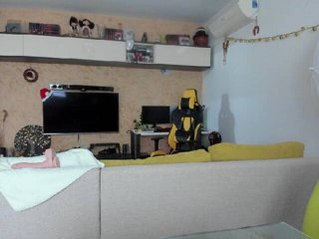 Transliacijos ekrano nuotraukos Ellarouge