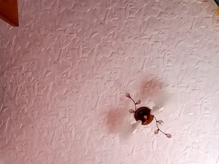 Erotinis vaizdo pokalbis emrinsii