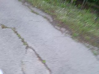 Erotinis vaizdo pokalbis Evvgenia12345