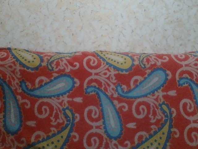 Transliacijos ekrano nuotraukos Fantom-38