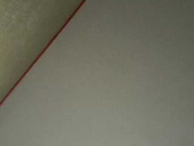 Transliacijos ekrano nuotraukos Fee666