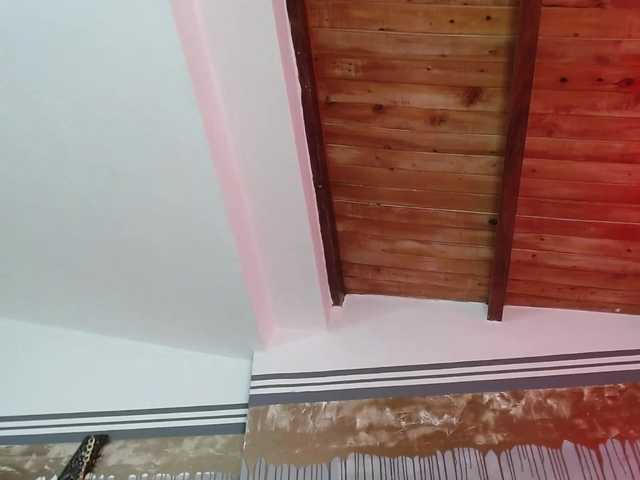 Transliacijos ekrano nuotraukos flexylive