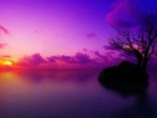 Erotinis vaizdo pokalbis florabella