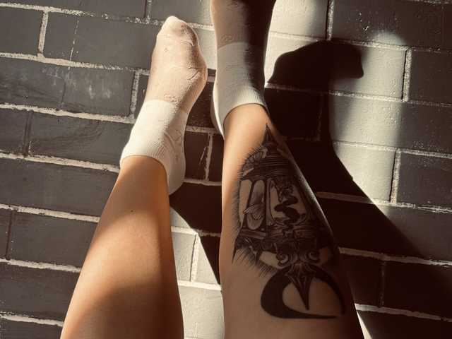 Profilio nuotrauka Fox-Paws