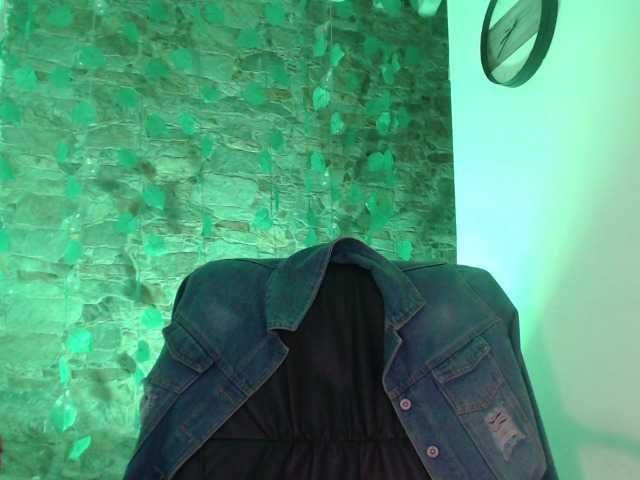 Transliacijos ekrano nuotraukos freyja-1