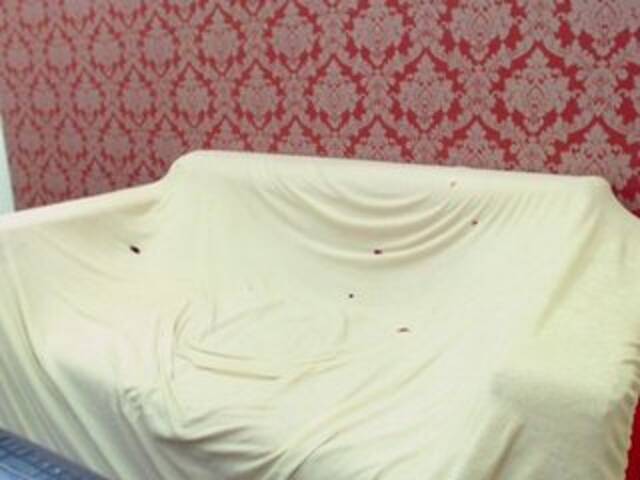 Transliacijos ekrano nuotraukos GeileLana