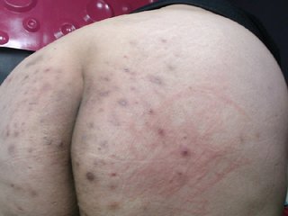 Transliacijos ekrano nuotraukos gigidavis13