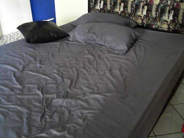 Transliacijos ekrano nuotraukos graceesanders