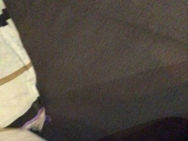 Transliacijos ekrano nuotraukos Grappa01