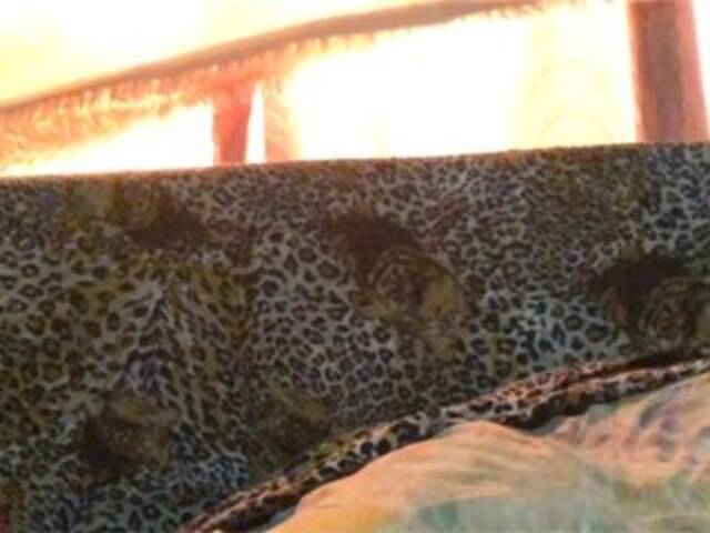 Transliacijos ekrano nuotraukos Grappa01