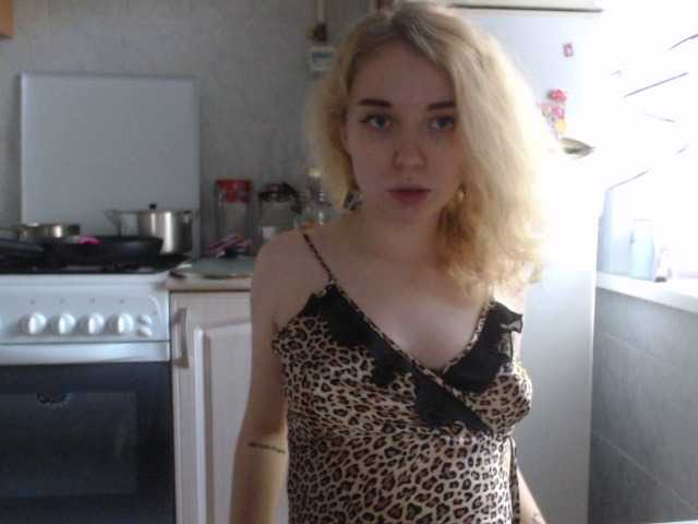 Transliacijos ekrano nuotraukos small_cats88