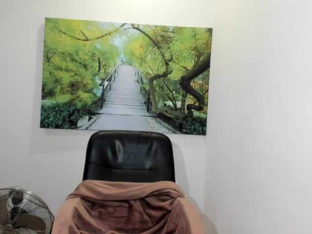 Transliacijos ekrano nuotraukos havanaginger1