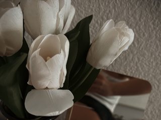 Erotinis vaizdo pokalbis ISweetI