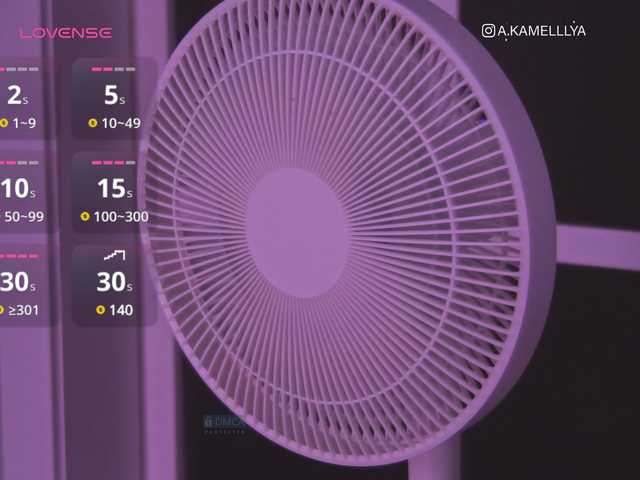 Transliacijos ekrano nuotraukos Kamelllya