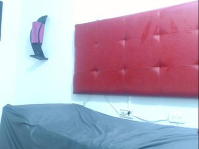 Transliacijos ekrano nuotraukos karinalopes